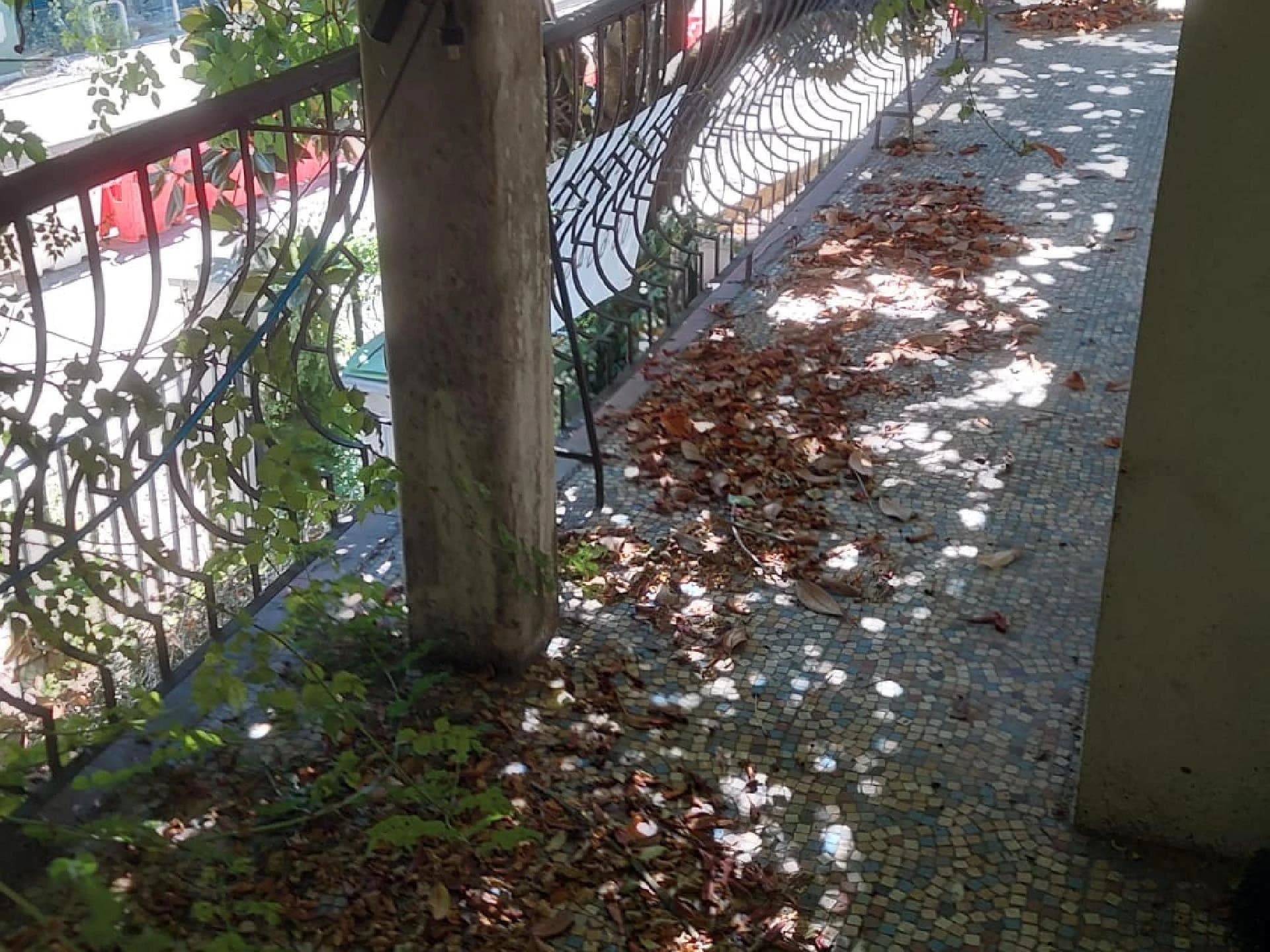 photo estate n°725120